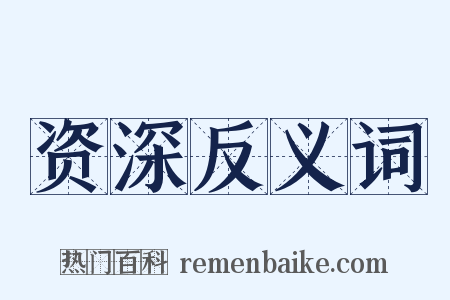 资深反义词是什么意思的图片